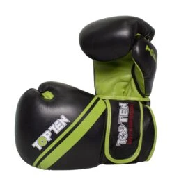 Boxing Gloves TOP TEN Thai Style, 20191-9